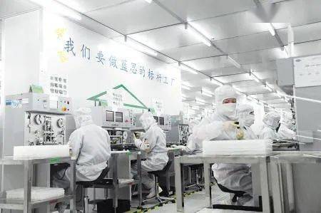 18 48歲均可,好廠 長沙藍思科技