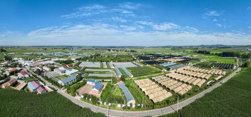 長(zhǎng)春市現(xiàn)代菌物產(chǎn)業(yè)科技成果轉(zhuǎn)化示范基地揭牌暨首屆中國(guó) 長(zhǎng)春 靈芝孢子粉采收節(jié)啟動(dòng)儀式在凈月高新區(qū)舉行