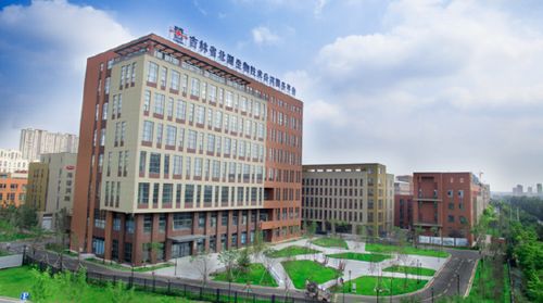 北科建長(zhǎng)春北湖科技園 北湖十年 創(chuàng)造美好