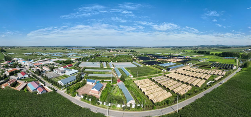 長春市現代菌物產業科技成果轉化示范基地揭牌，首屆中國（長春）靈芝孢子粉采收節盛大啟幕